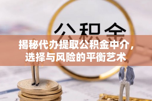 巴州揭秘代办提取公积金中介，选择与风险的平衡艺术