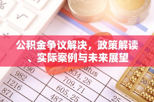 巴州公积金争议解决，政策解读、实际案例与未来展望