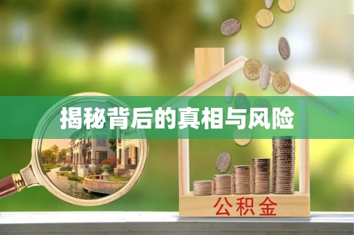 巴州揭秘背后的真相与风险