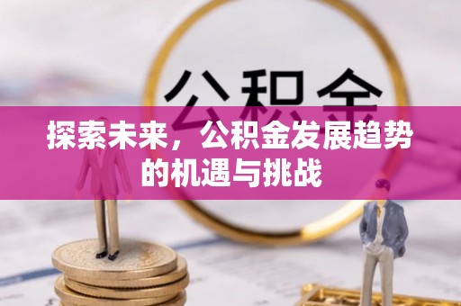 巴州探索未来，公积金发展趋势的机遇与挑战
