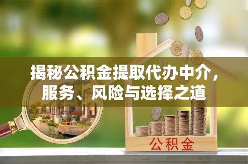 巴州揭秘公积金提取代办中介，服务、风险与选择之道