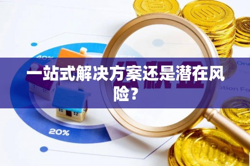 巴州一站式解决方案还是潜在风险？